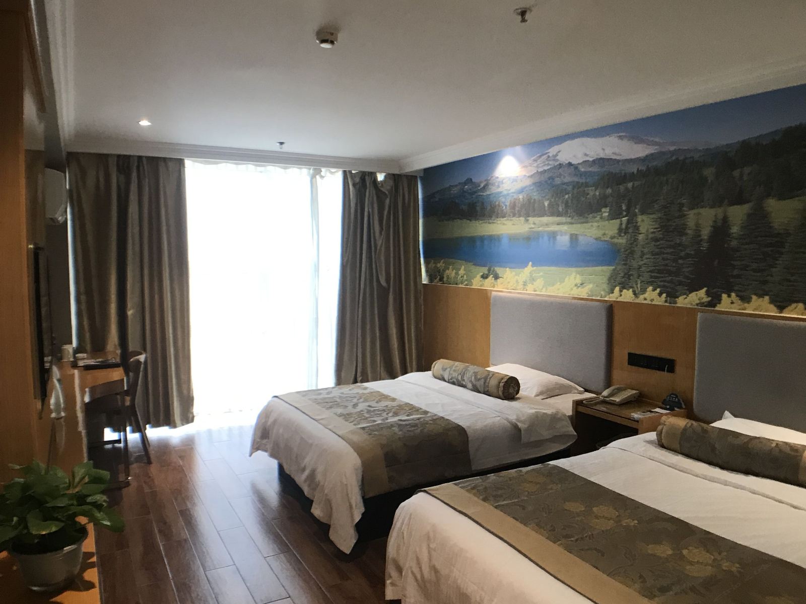 高级双床房