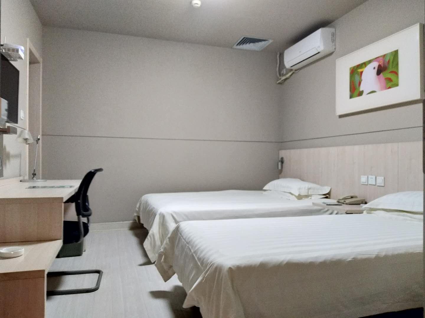 标准房C