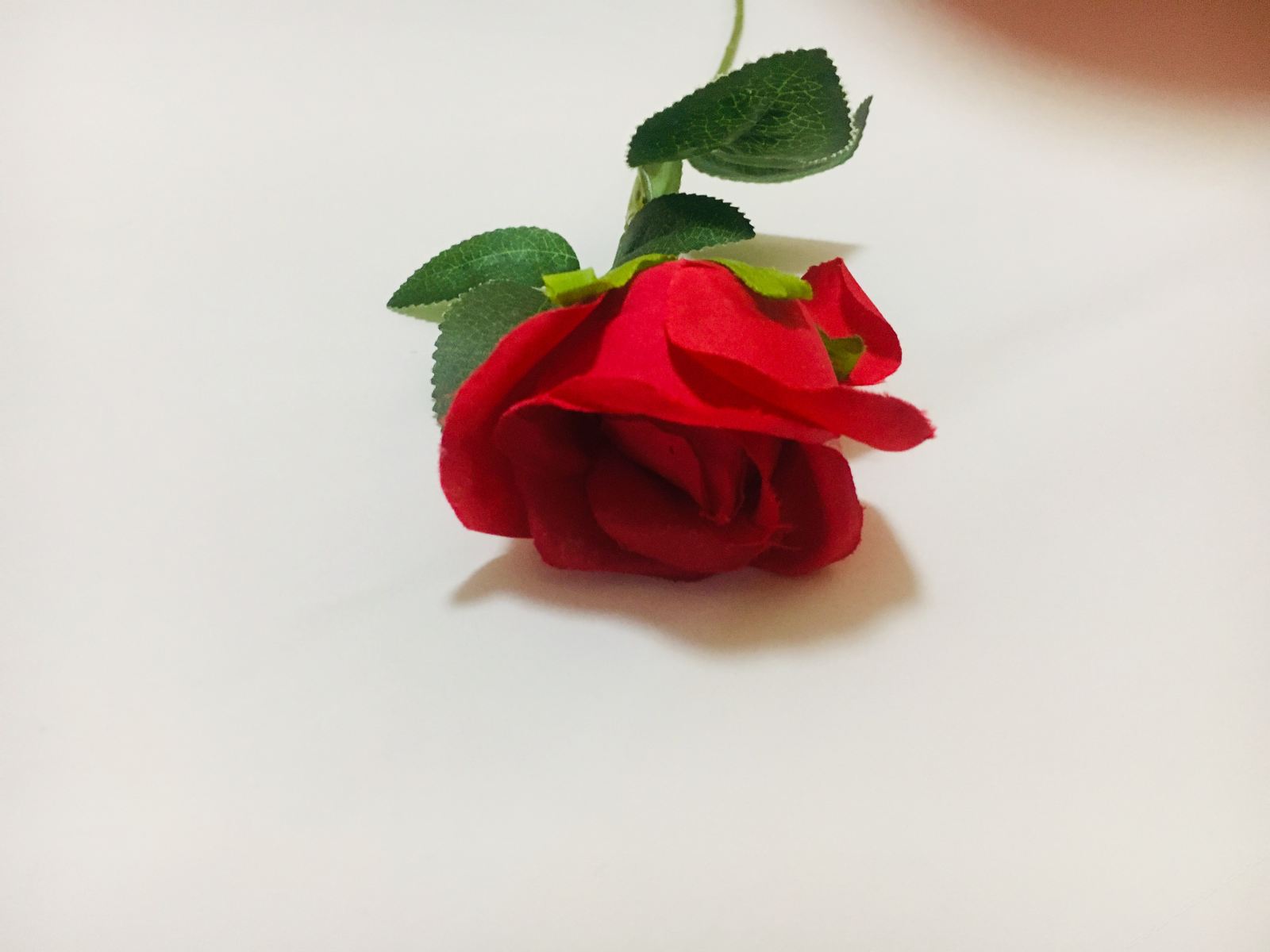 小榻榻米