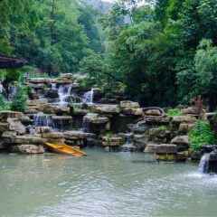 活动模块 