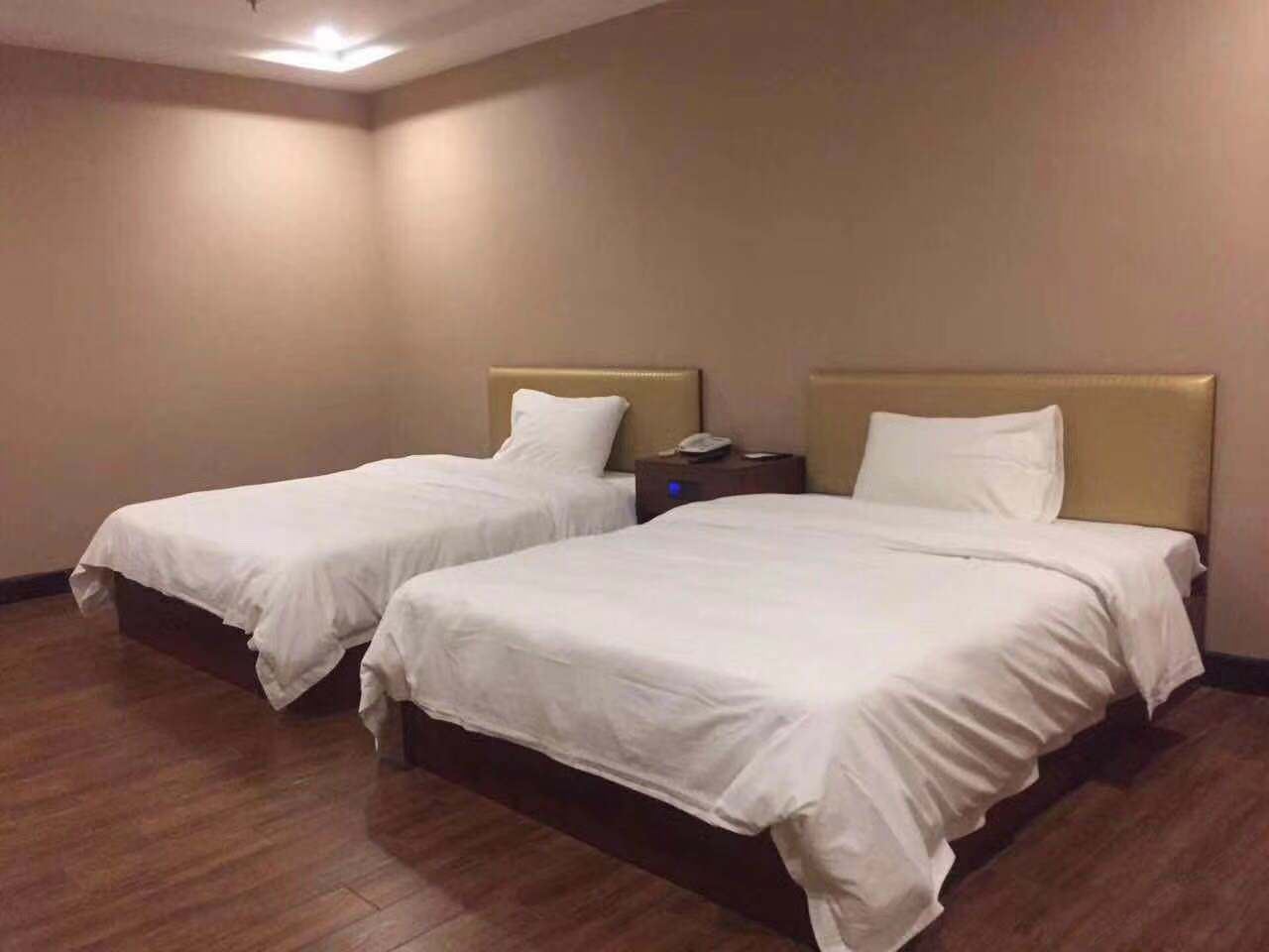 标准双床房(无窗)