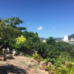 景点模块 