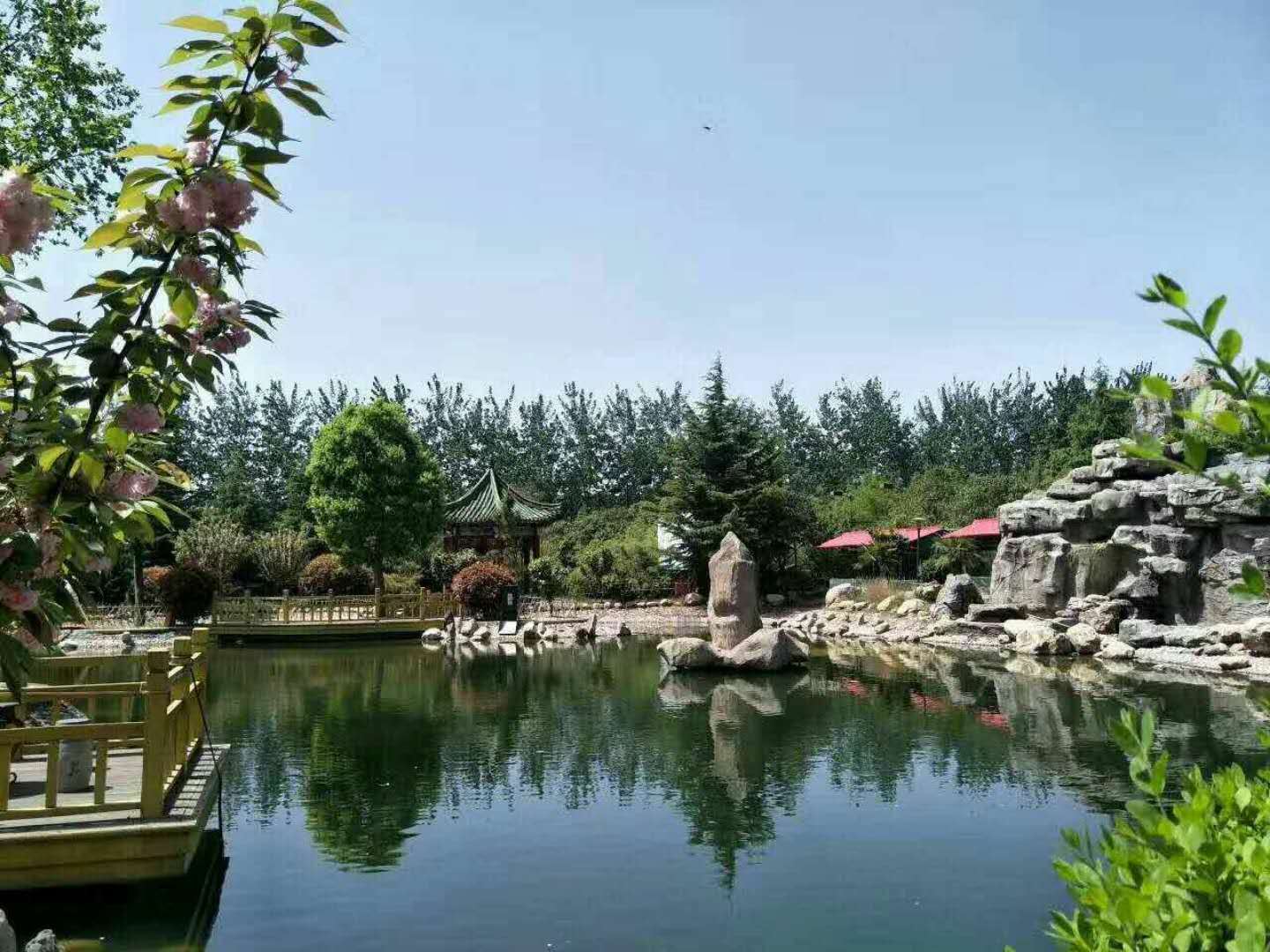 商务大床房