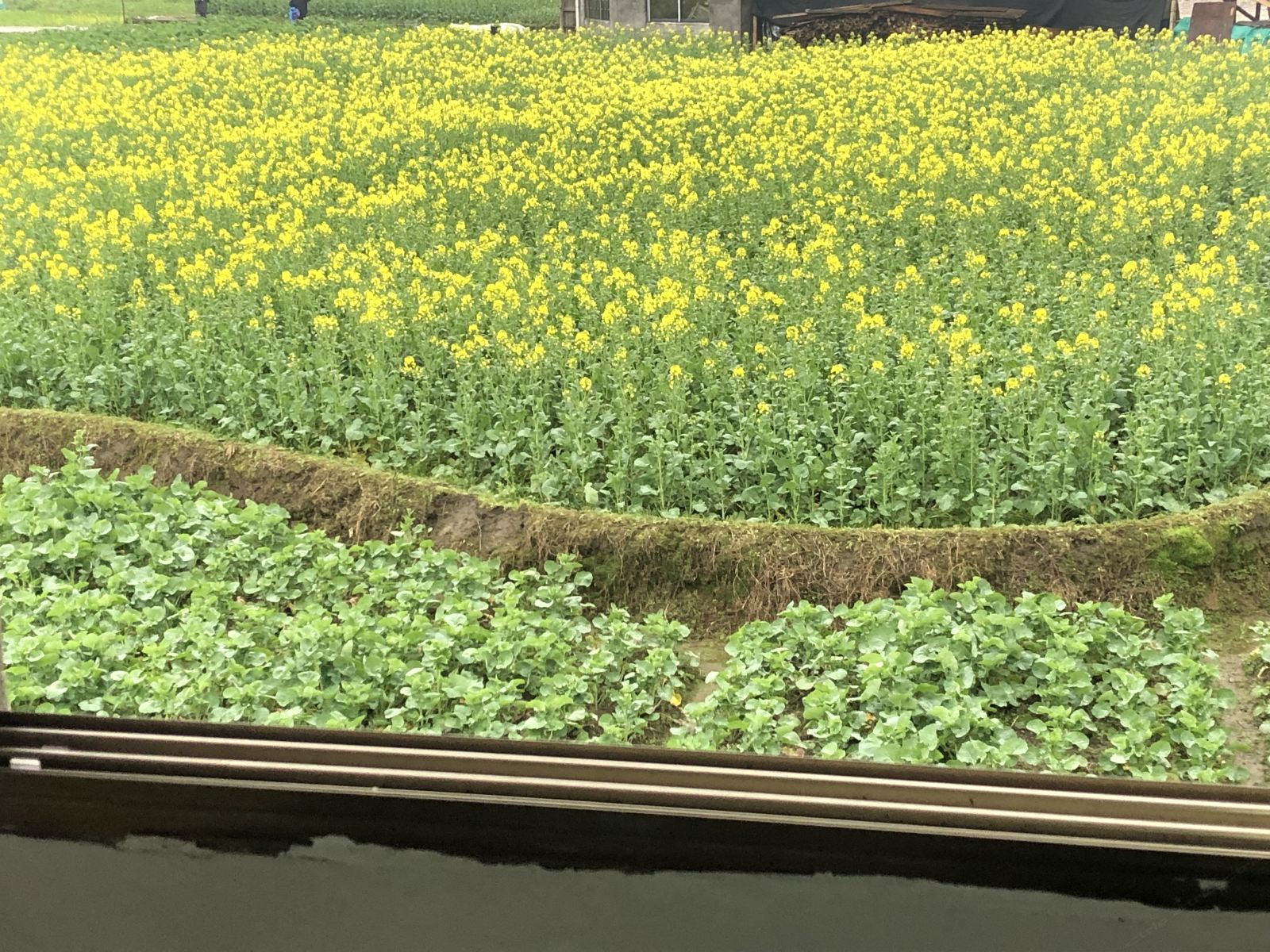 三人间