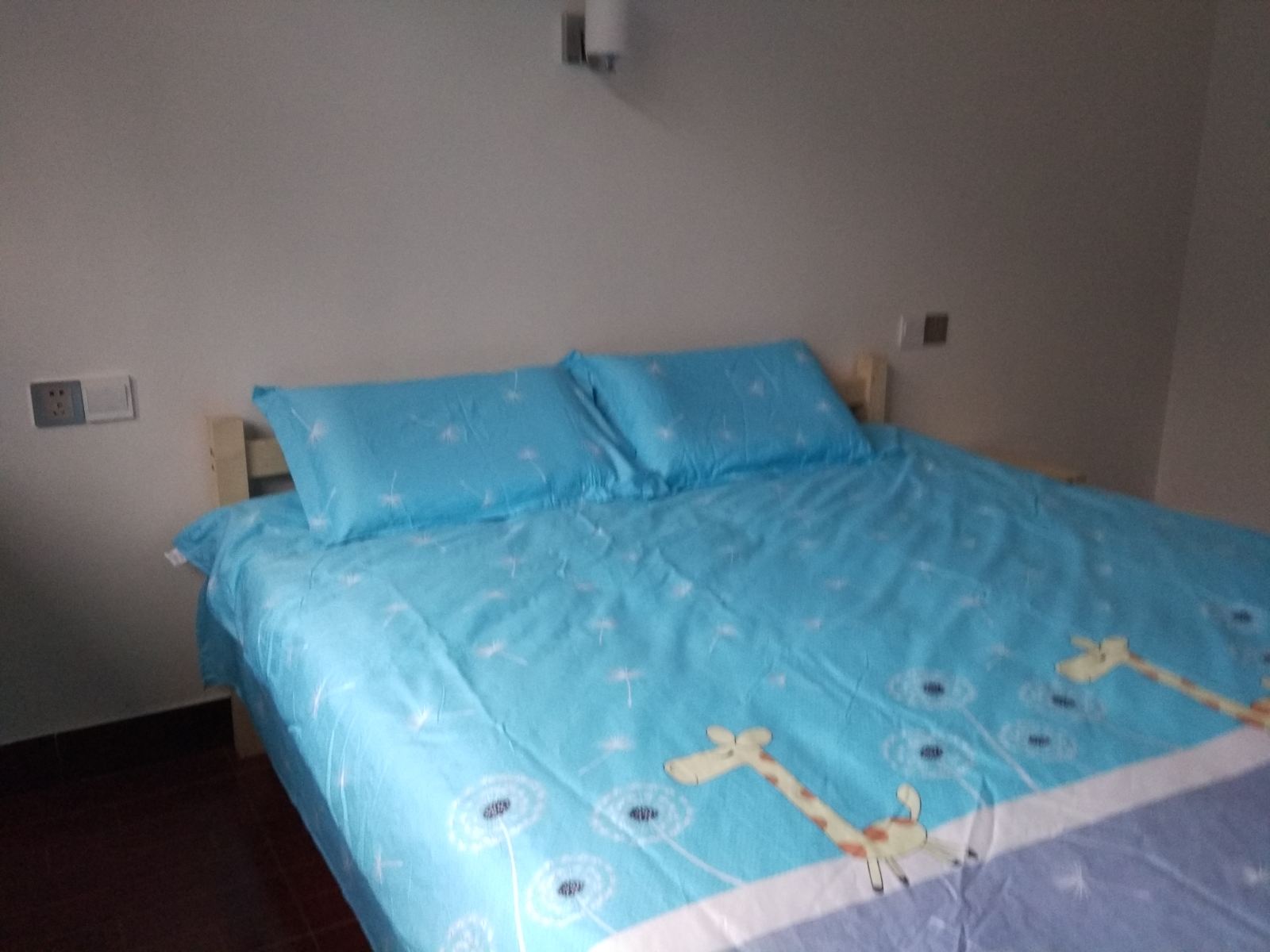 豪华大床房