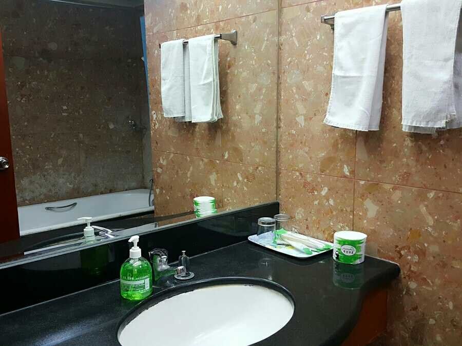 精致一室大床房
