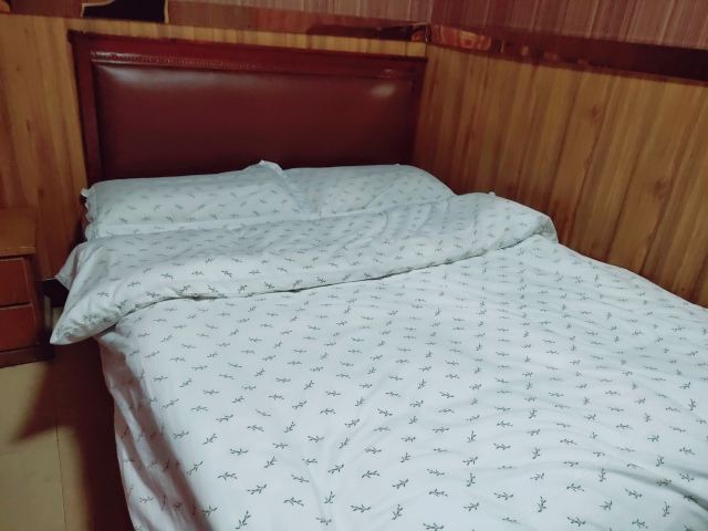 普通单人间