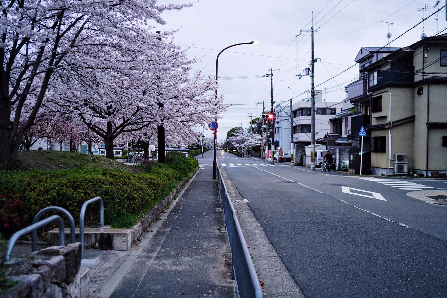 浪游天下,日本