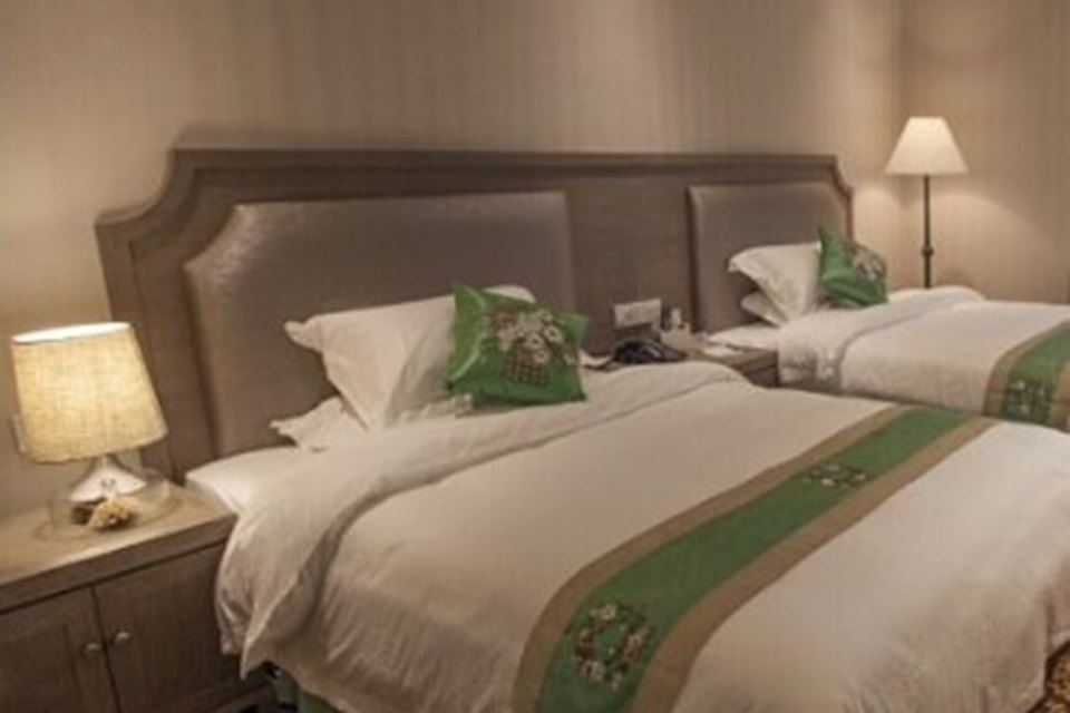 高级双床房(无窗)