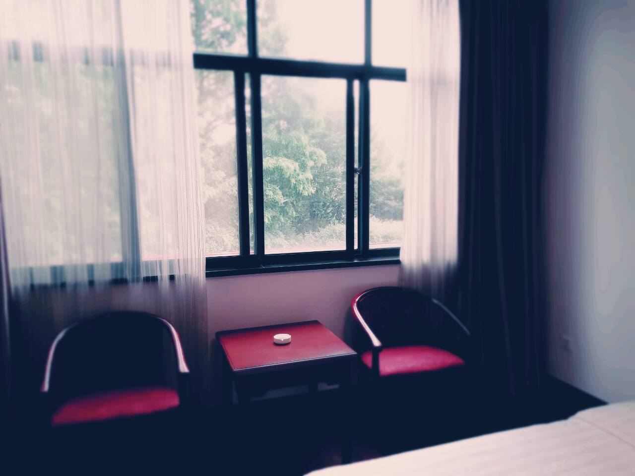 园景大床房