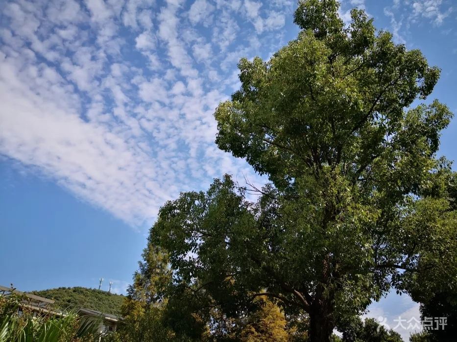山景房