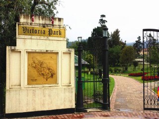 報團去斯里蘭卡多少錢_斯里蘭卡旅游團報價_斯里蘭卡旅游路線