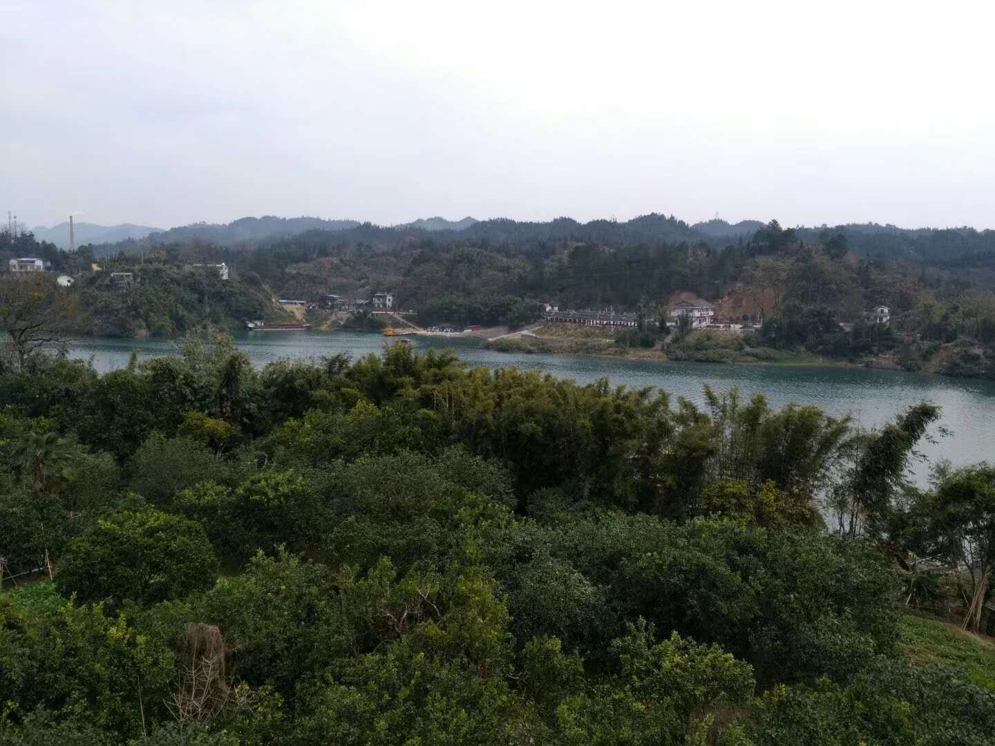 书香情景标准间