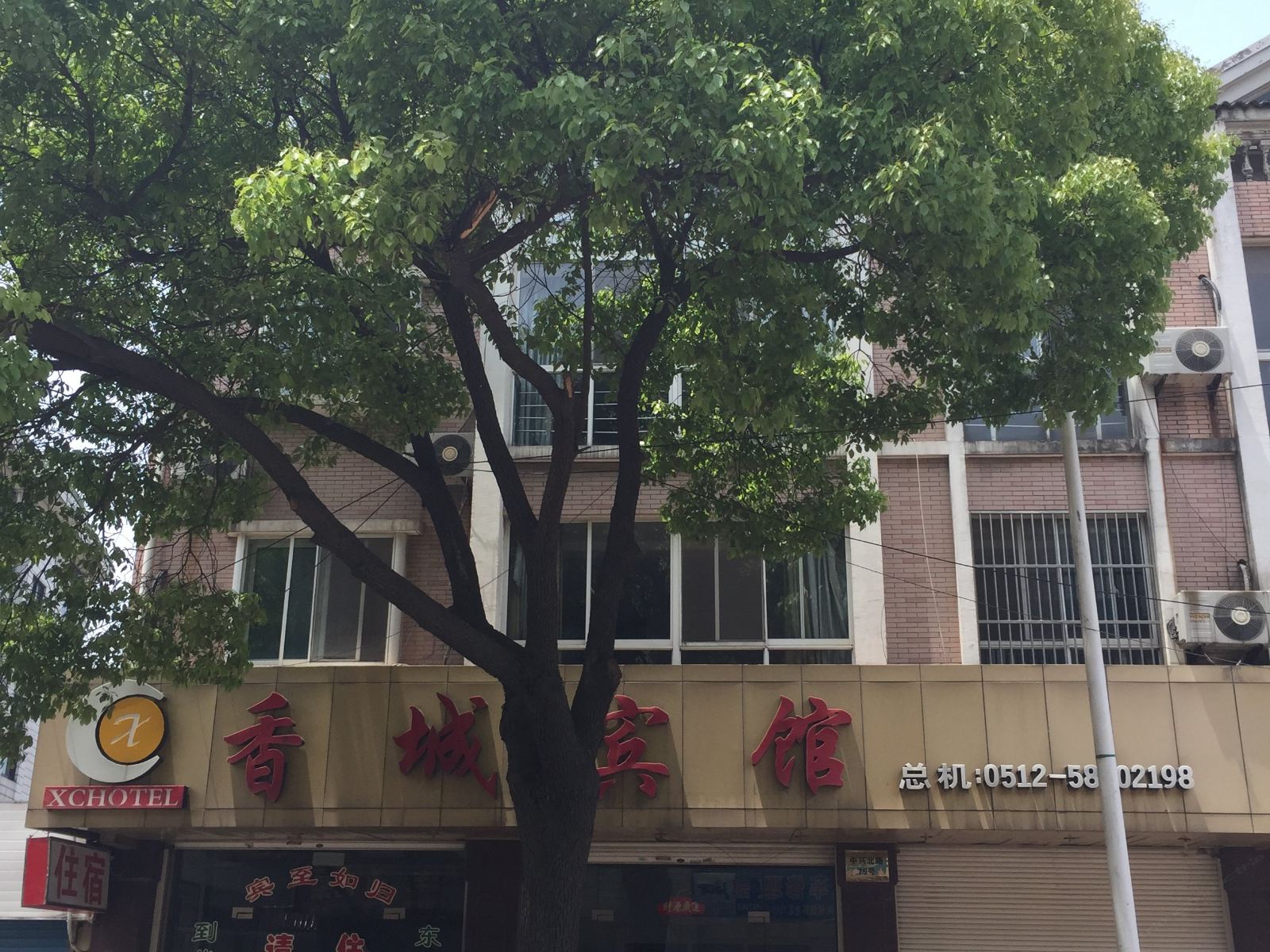 外观