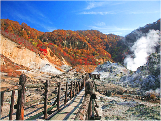 日本旅游花費一般多少_9月份日本游價格_日本私人定制旅游