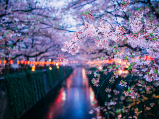 秋叶原电器城旅游景点介绍_2018秋叶原电器城