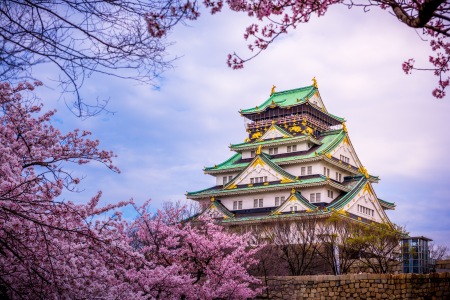 [春节]<日本东京或大阪5或6日随心游>去日本度假吧，沈阳直飞东京或大阪，含税机票，团队签证、我的行程我做主