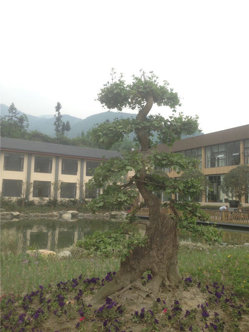 都江堰虹口新联三文鱼度假中心