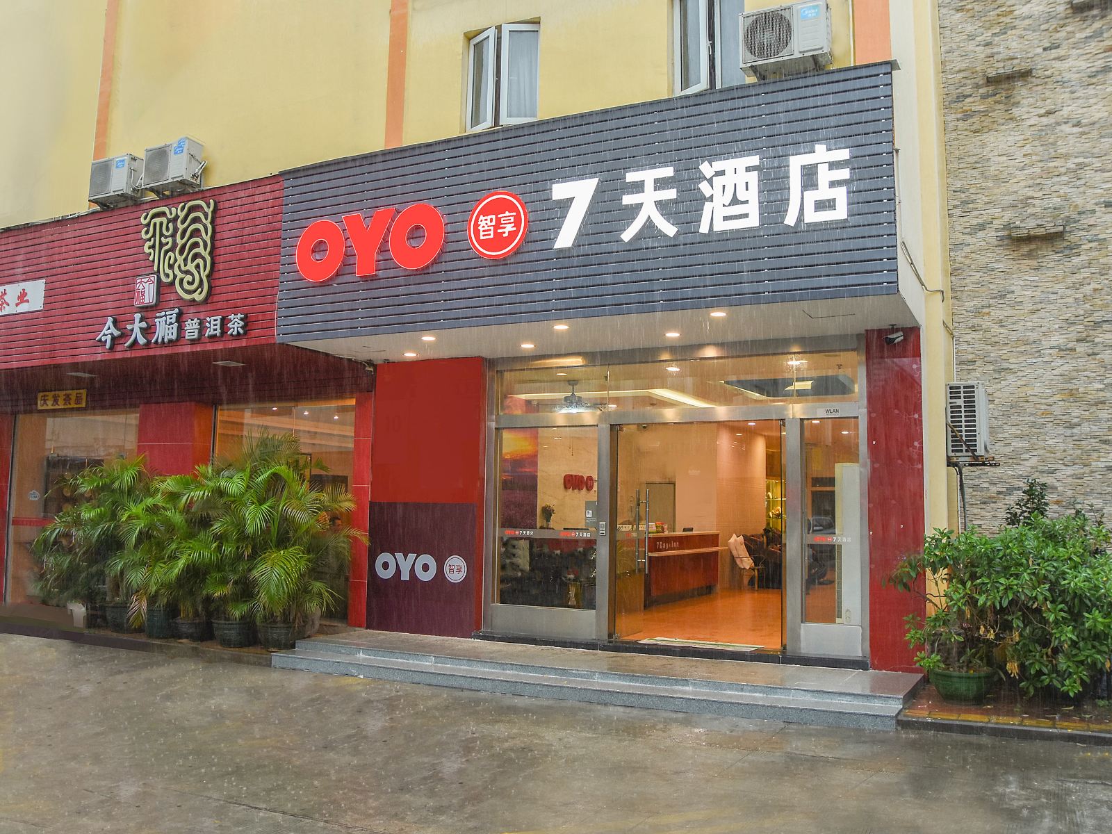 外观