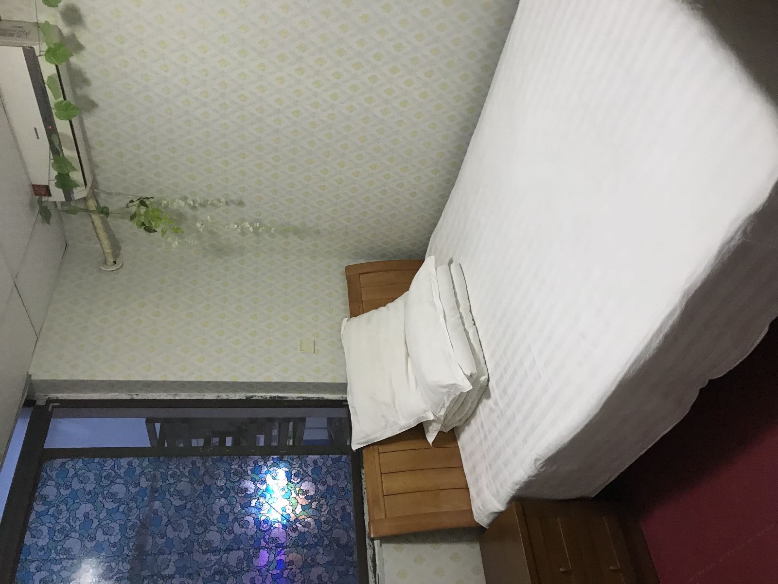 标准单人间