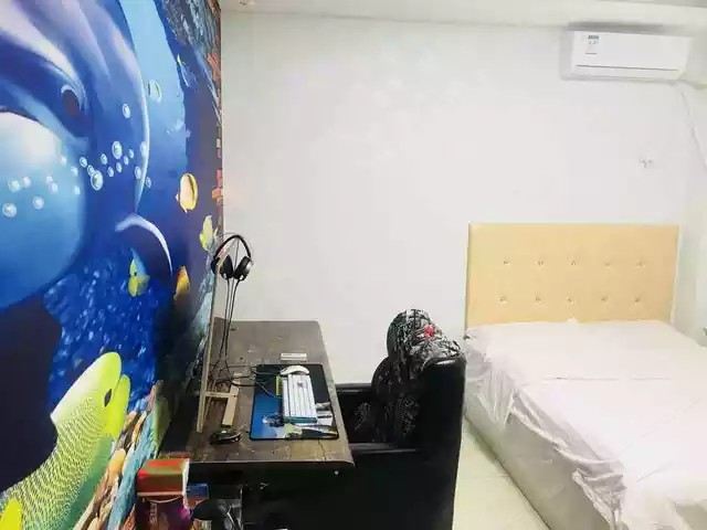 海豚吸水单人间（无窗）