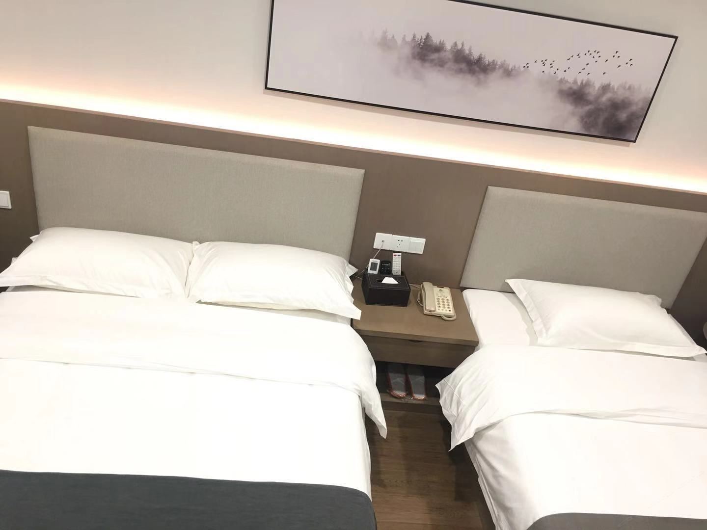 经济双人间