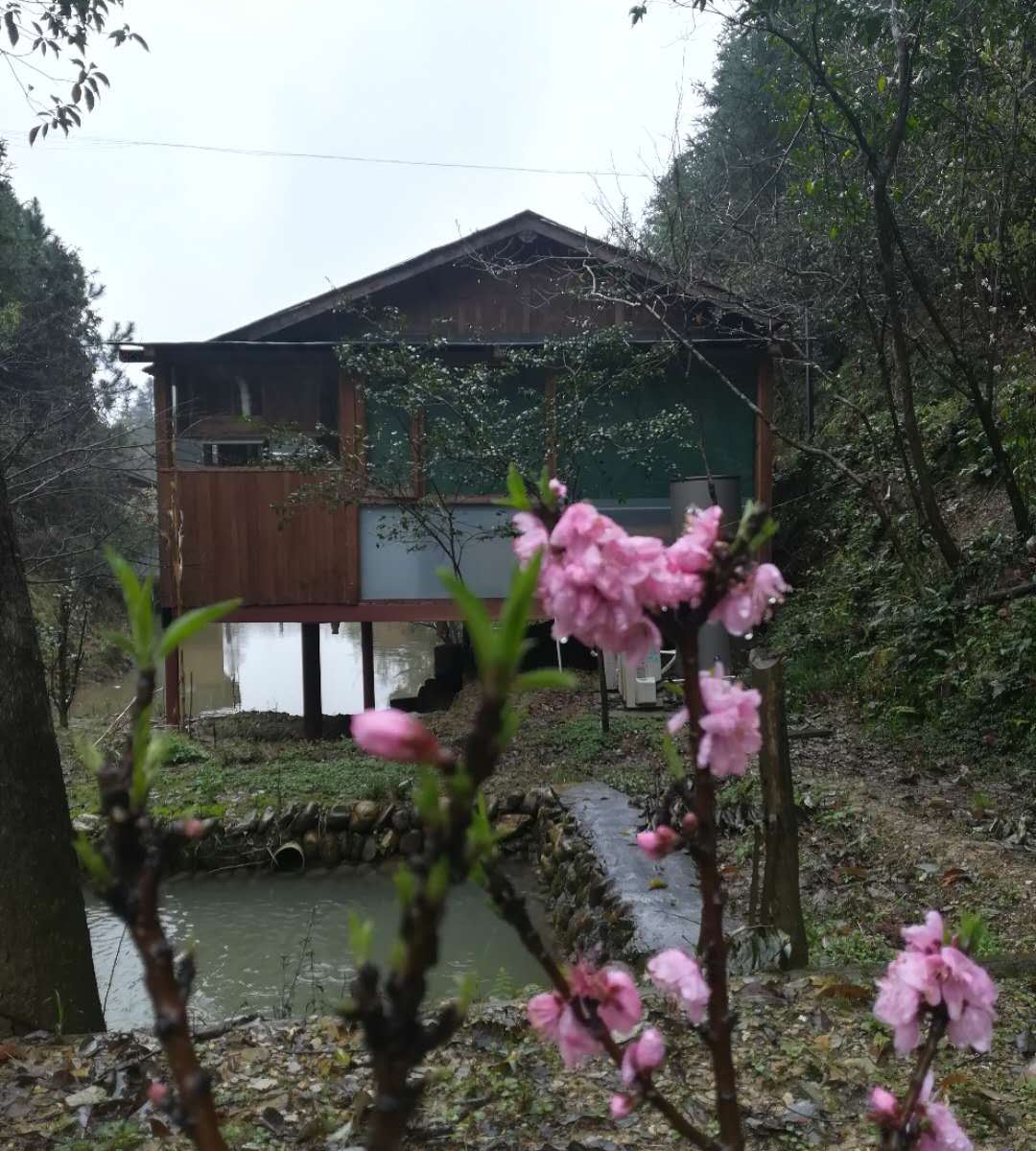 倚栏观鱼