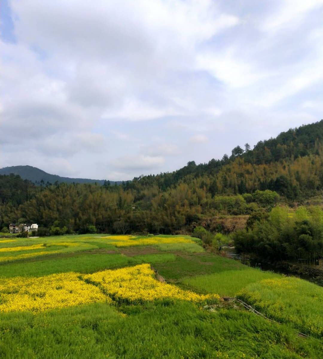 田园观景标间