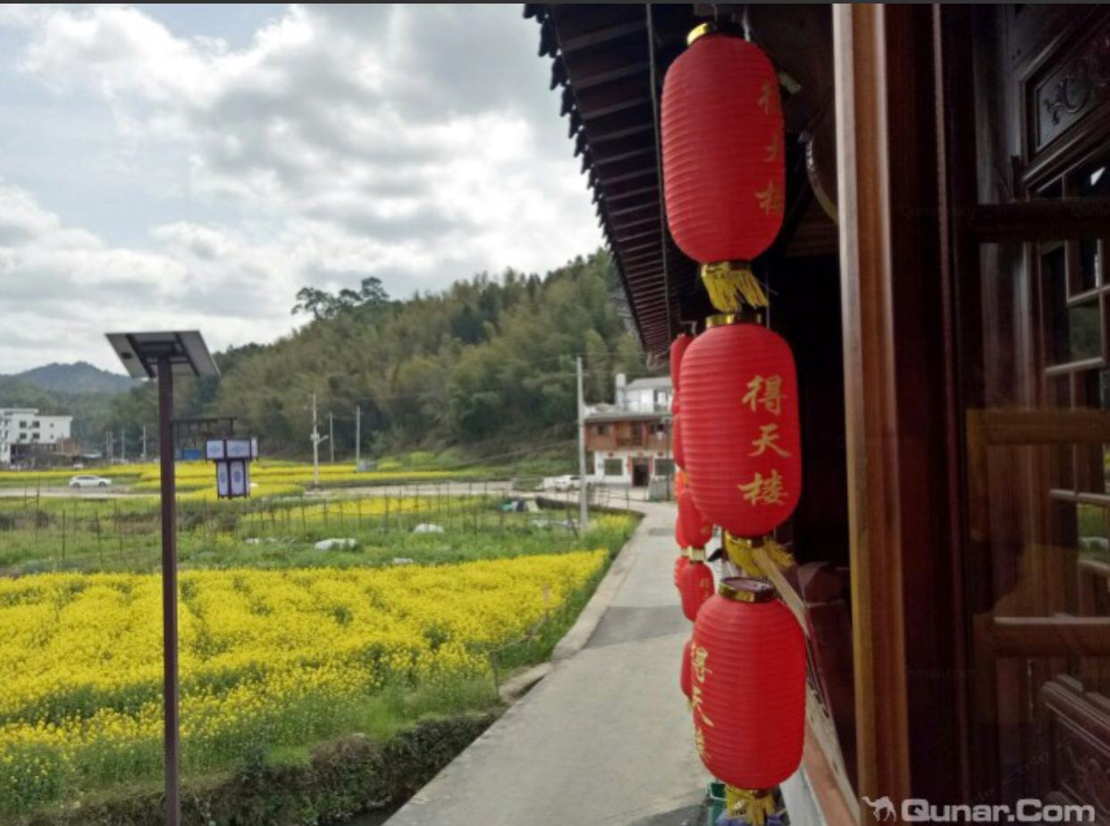 秋意浓