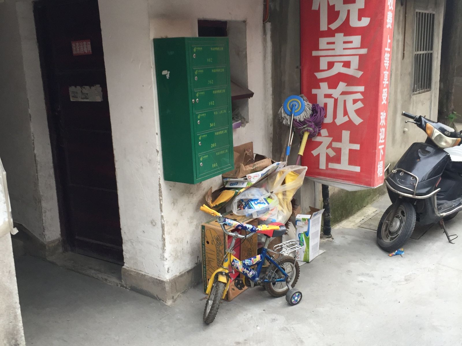 外观