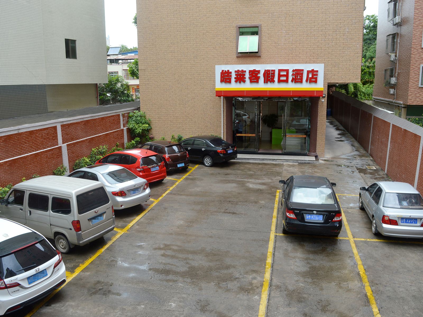 外观