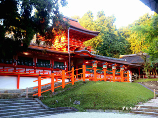 日本十一日游旅游团_日本游旅行团报价_日本九日游路线