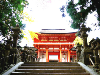 日本十一日游旅游团_日本游旅行团报价_日本九日游路线