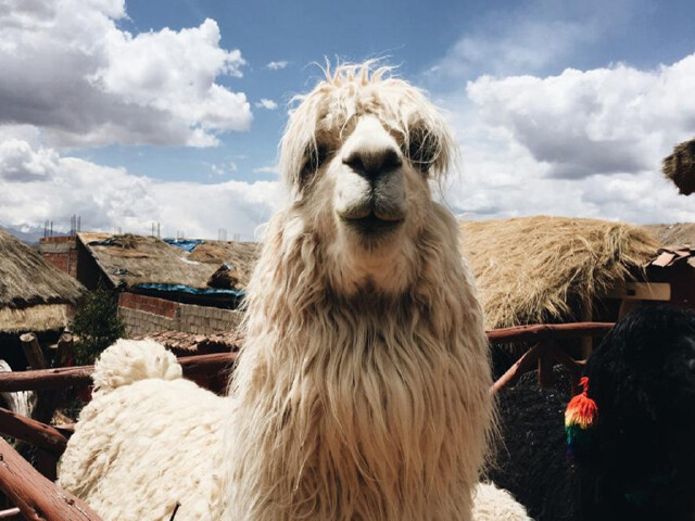 <南美全景之选-巴西+阿根廷+智利+秘鲁+乌