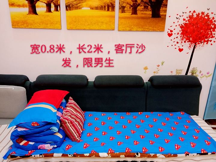 沙发房