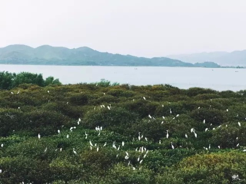 盐洲岛一日游