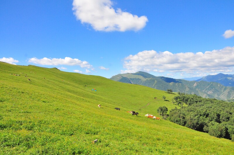 北灵山户外行 高山草原快乐游