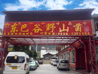 旅游團云南玉龍雪山_云南玉龍雪山旅游花多少錢_云南玉龍雪山自由行組團