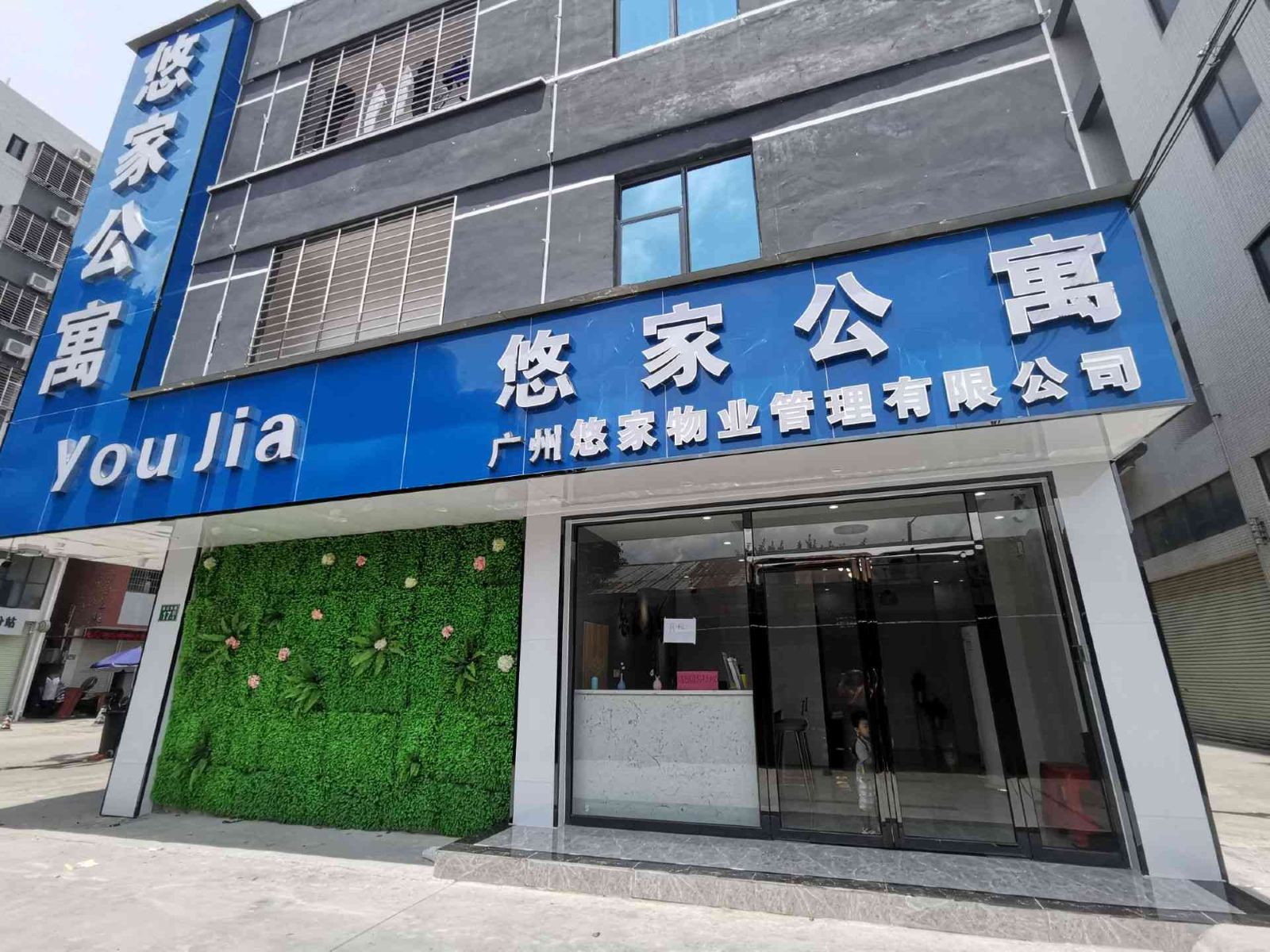 外观
