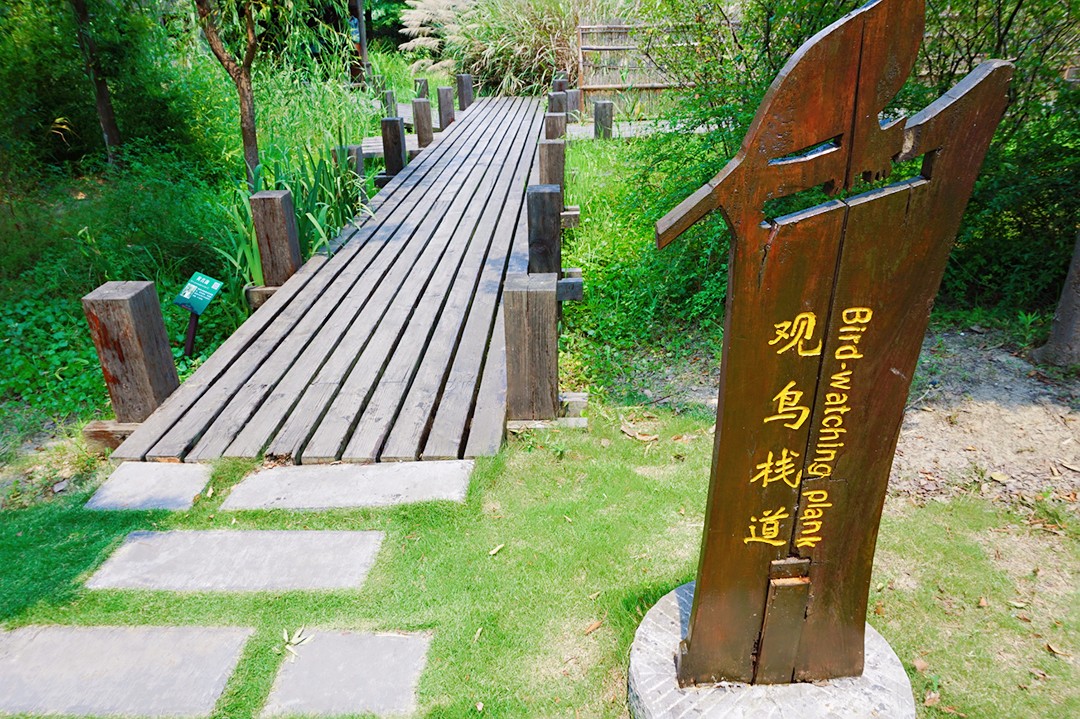 观鸟栈道,顾名思义,就是一条欣赏这里鸟类的栈道,栈道旁有一些鸟类的