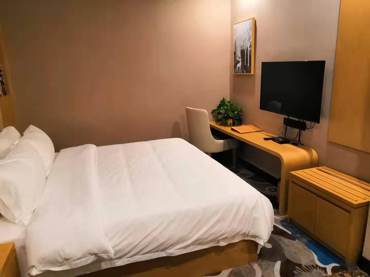 高级大床房(无窗)
