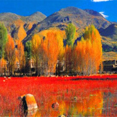小交通模块 