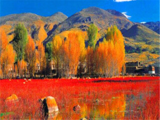 四川旅游報團(tuán)價格_四川旅游跟團(tuán)需多少錢_四川私人定制旅游