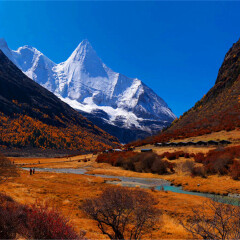 景点模块 