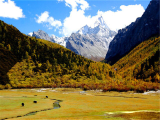 四川旅游報團(tuán)價格_四川旅游跟團(tuán)需多少錢_四川私人定制旅游