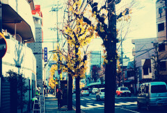小交通模块 
