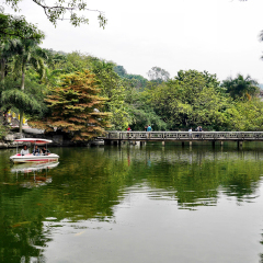 活动模块 