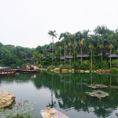 活动模块 