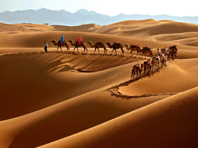 <额济纳旗-居延海-黑水城怪树林-敦煌-嘉峪关-张掖-西安双飞双动8日游