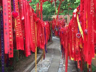 報團(tuán)去云南大理麗江多少錢_2021去云南大理麗江旅游團(tuán)報價_云南大理麗江旅游花費(fèi)一般多少